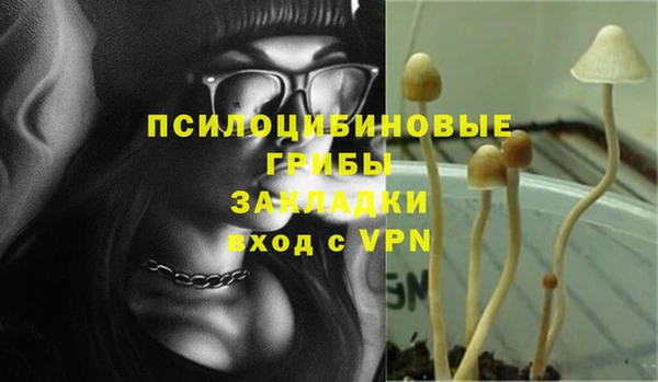 прущий лед Бородино