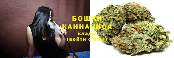 прущий лед Бородино