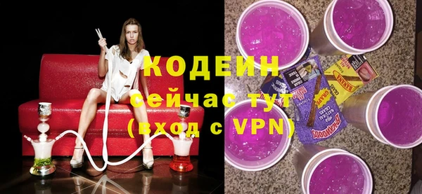 прущий лед Бородино