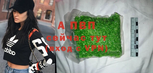 прущий лед Бородино