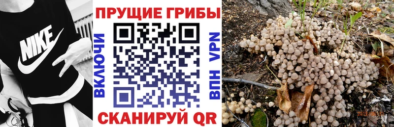 Галлюциногенные грибы GOLDEN TEACHER Купить где Туринск